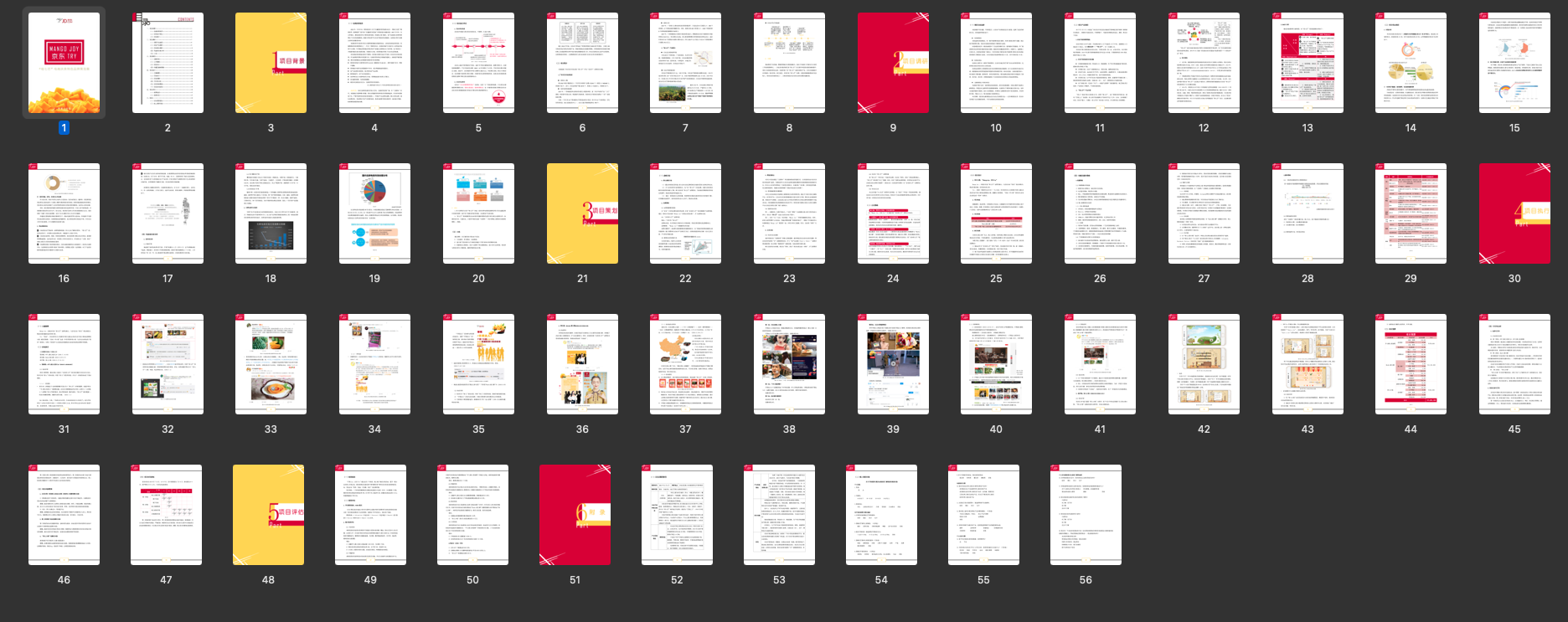 Project Plan Report